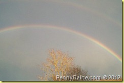rainbow4