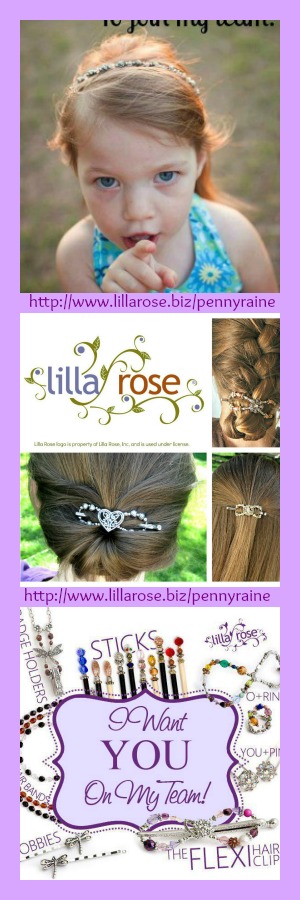 become a Lilla Rose independant consultant
